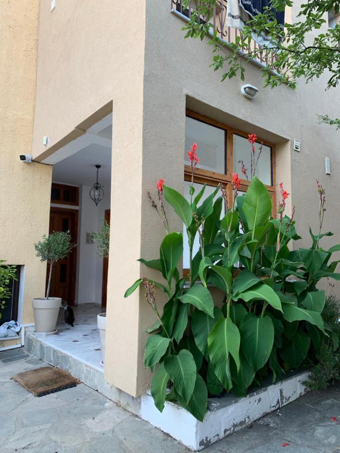 Hapinness Seaview Paleo Tsifliki Exterior photo